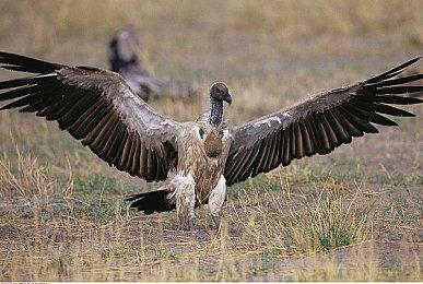 2021年十大最佳游戏MOD公布 用户投票产生